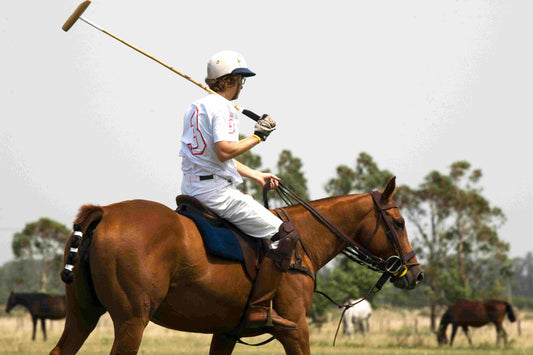 Polo: Riding and Playing for Balance, Coordination, and Focus