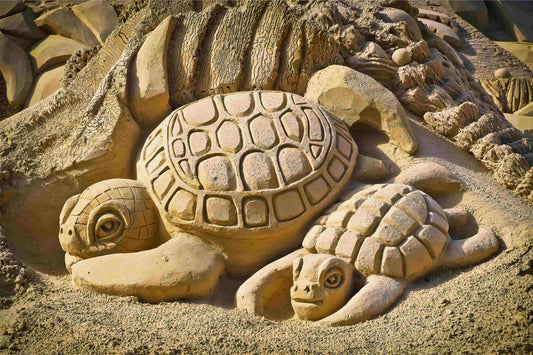 Creating Sand Art: Building Sculptures and Patterns in Beach Sand