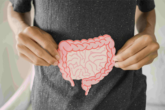 The Role of Gut Health in Overall Wellness