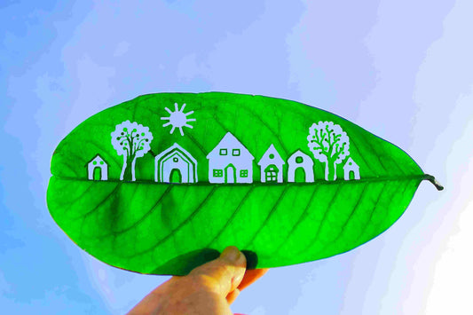 Eco-Friendly Living
