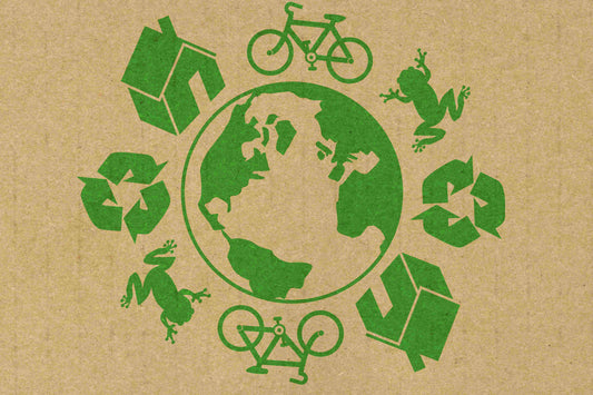 How to Start an Eco-Friendly Lifestyle in 2024