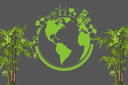 Why Choosing Bamboo is Better for the Planet