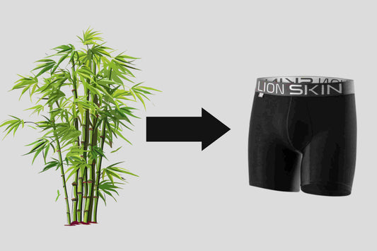 The Journey of Bamboo: From Plant to Underwear