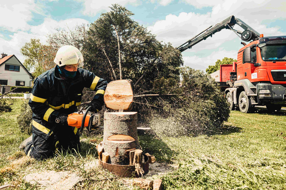 How Chainsaws Improve Efficiency in Australian Woodcutting and Land Clearing