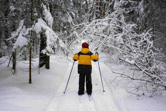 Cross-Country Skiing: Building Endurance and Full-Body Strength