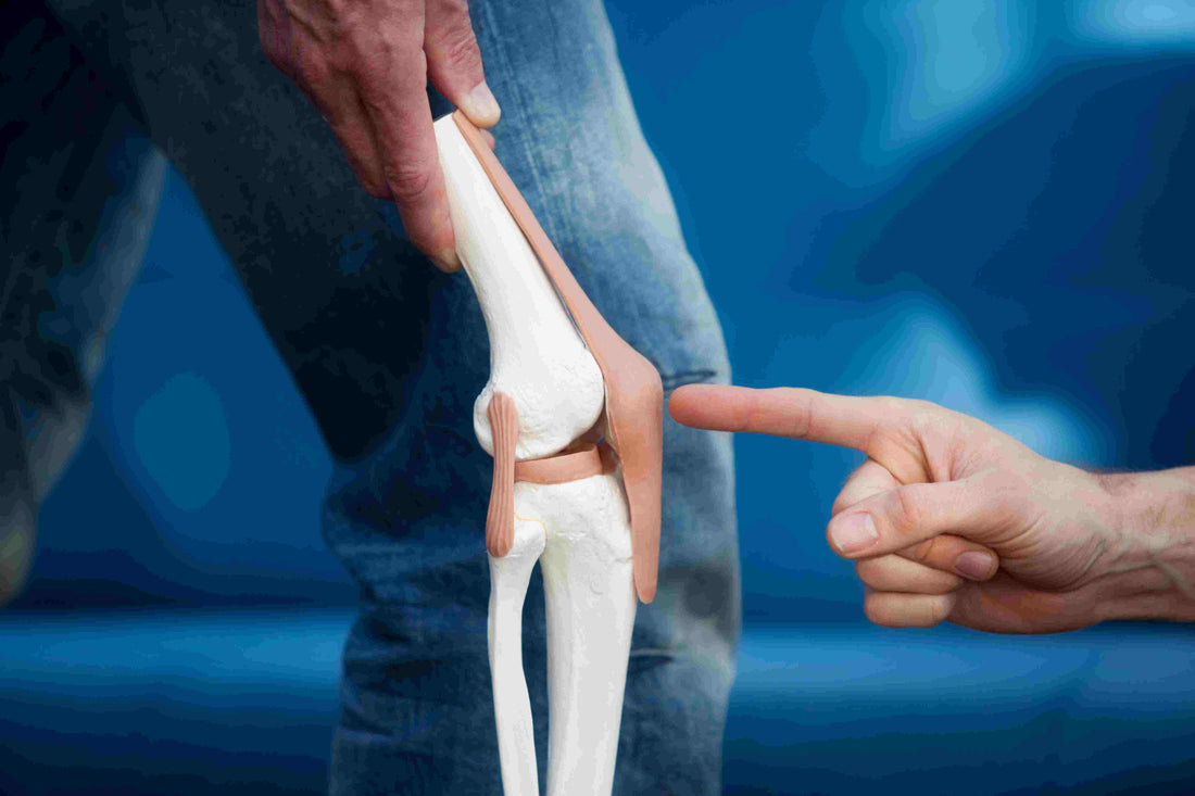How to Maintain Healthy Joints as You Age