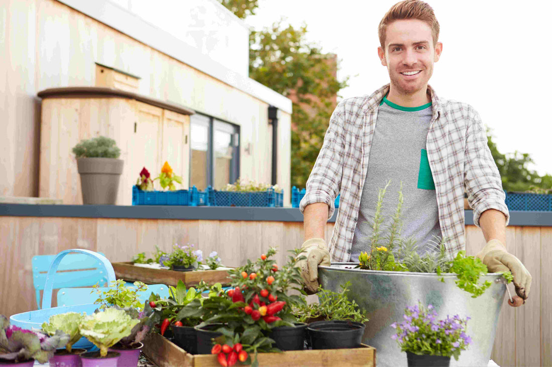 Urban Gardening: Creating Green Spaces on Balconies or Rooftops